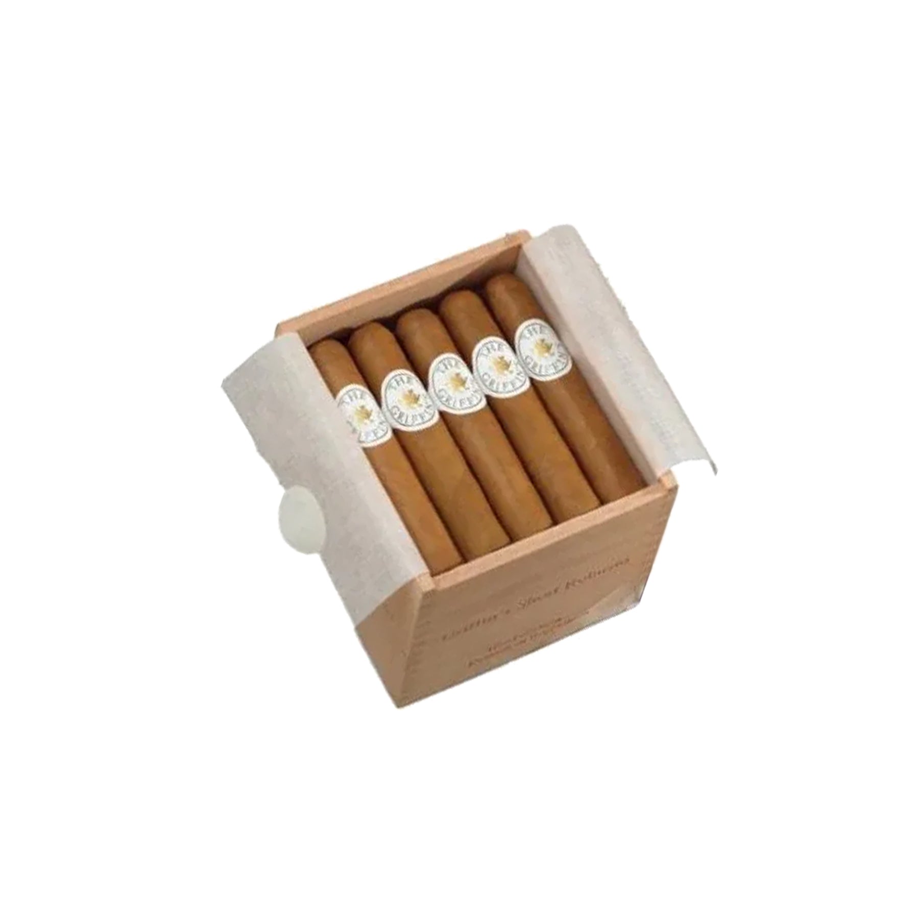 Robusto corto clásico